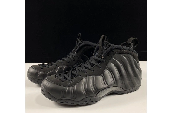 Nike Foamposite One Air 314996-001 Anthracite 1005